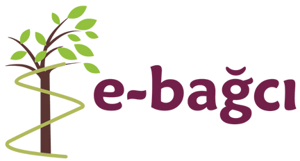E-Bağcı